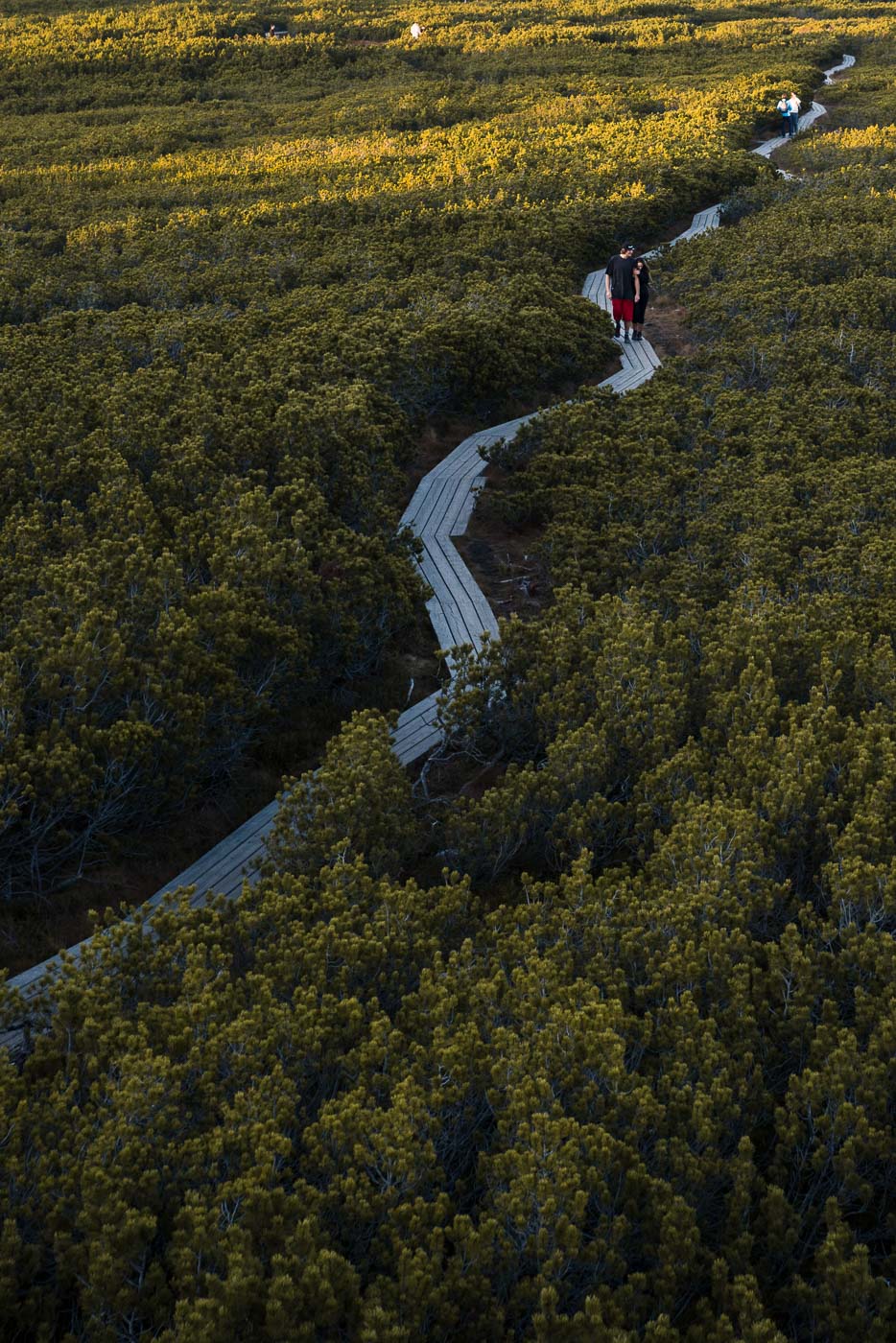 img7896