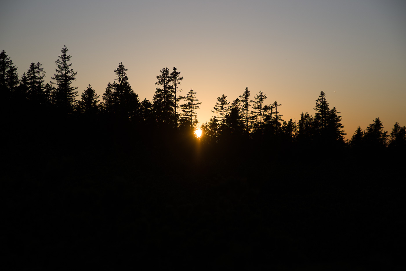 img7912